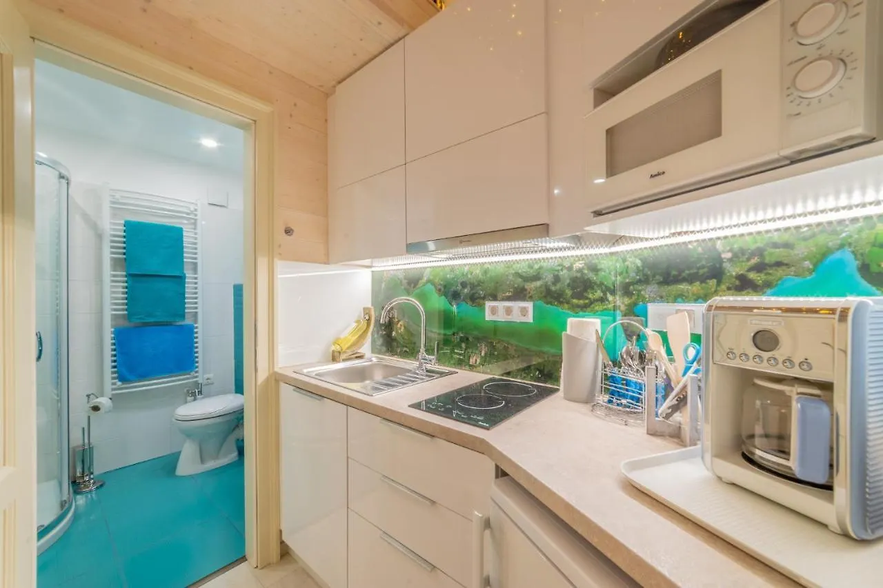 Apartment Urban Nest Synagouge Budapest